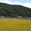 도일경로당 이미지