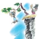 천과나무 이미지