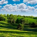 행정사 합동사무실 이미지