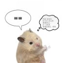 문브래드 이미지