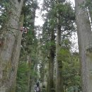 일본/하코네 신사(箱根神社, Hakone-jinja Shrine) ,일본건국신화(日本建國神話) 이미지