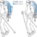 등산지식시리즈-13. 배낭꾸리는 요령 이미지