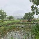 화포천마을 이미지