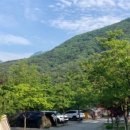 산새소리물소리 이미지