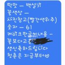 [노원구 상계동] &#34;꽃담은&#34; 환갑 숫자케이크, 내돈내산 후기