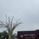 연세차내과의원 네이버블로그