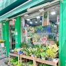 김안과 앞 횡단보도 이미지