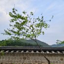 뒤뜰농장 이미지