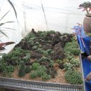 둘리농장 이미지