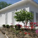 푸른숲캠핑장 이미지