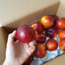 원씨네농장 이미지