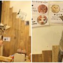 테이블에이 이미지