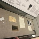 비엔나안경 | [250703 19일차 ②] 비엔나 지그문트프로이트 박물관 후기ㅣ정신분석의 시작을 직접 볼 수 있는 곳