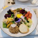 레디쉬 휴 이미지