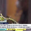 전 CJ 파워캐스트 회장 이재환이 비서 뽑는다는 명목으로 성희롱 하고 다님 이미지