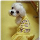 토토미용실 이미지