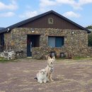 올리버 스테이 이미지