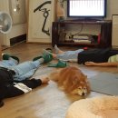 명상요가 이미지