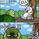 토끼와거북이 이미지
