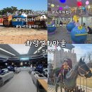 화랑마을 | 대구근교 주말 아이와 체험놀이터 경북 영천 화랑설화마을 정보 후기