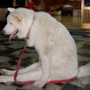 희영축산 이미지