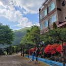 장금이 펜션 이미지