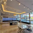 도그,위브 이미지