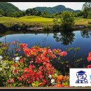 회원동199 이미지