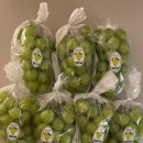 한송농장 | 샤인머스캣맛집 선물용추천! 앙또농장 택배후기