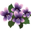 맥반석김