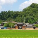 일직점곡로(일직면) 네이버블로그
