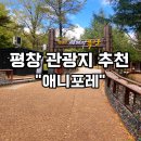 윤정목장 | 평창 아기랑 가볼만한곳 애니포레 모노레일 강원도 대관령 알파카목장 발왕산 모나파크 사진명소 후기