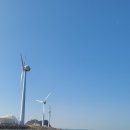 대부요트