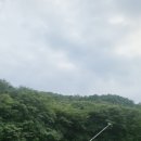 양지한우프라자