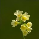 용진로 | 거동 불편하신 부모님 위한 광산구 요양원 추천 호연실버홈 거동 불편한 부모님을 위한 최적의 선택