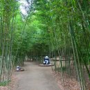 미술관로 이미지