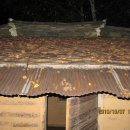 사내농장 이미지