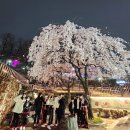 효진관 합기도 이미지