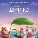 모아나 티스토리