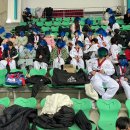 경희대 비앤비 태권도 이미지