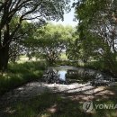 우포늪식당 이미지