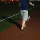 제갈견 동물병원 이미지