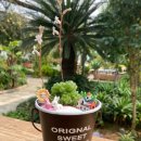 상생농장 이미지