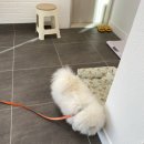 몽크네 이발관 이미지