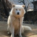 화성농장 이미지