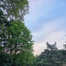정현정비 | 선릉 선정릉 서울 산책코스 추천 선릉과 정릉