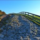 은행목장 이미지