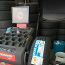 (주)세진렌트카 이미지