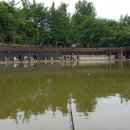 군자 낚시터 이미지