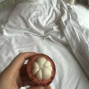 황룡농협 | 장가계 패키지여행 4일차 (황룡동굴, 대협곡 그리고 귀가)